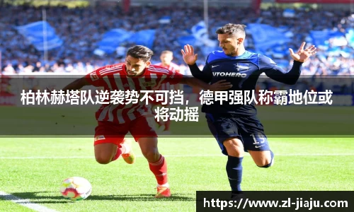 星空综合体育官网