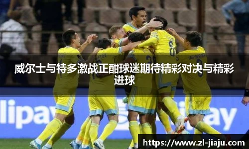 威尔士与特多激战正酣球迷期待精彩对决与精彩进球